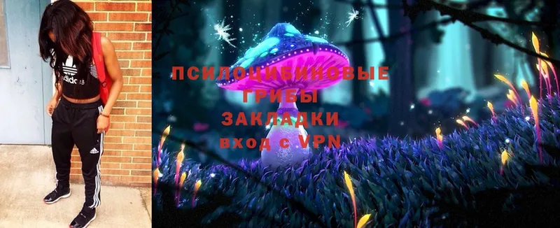 Галлюциногенные грибы MAGIC MUSHROOMS  продажа наркотиков  Кизел 